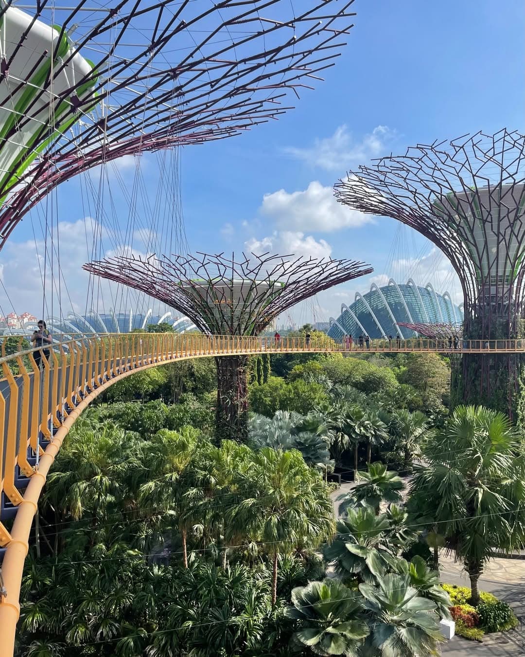 Singapore Wonders
