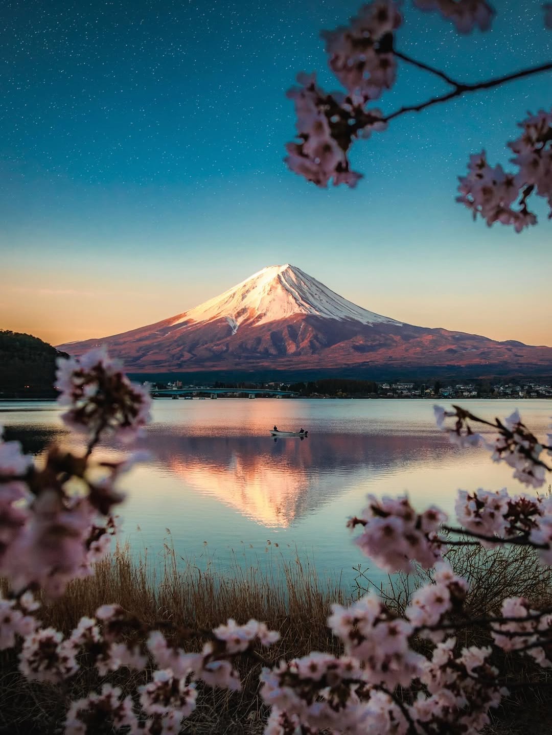Tokyo Highlights